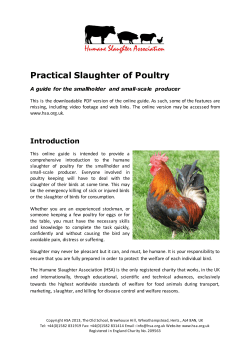 Practical Slaughter of Poultry