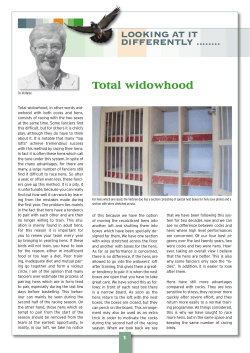 LOOKING AT IT DIFFERENTLY ........ Total widowhood