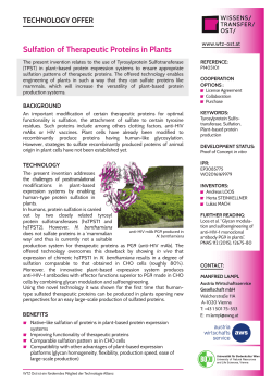 Sulfation of Therapeutic Proteins in Plants