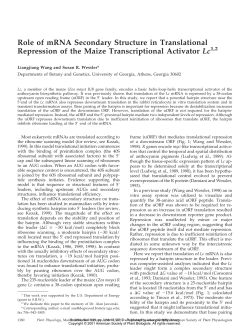 Role of mRNA Secondary Structure in