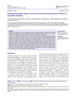 Histidine biosynthesis plays a crucial role in metal homeostasis and