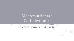 Carbohydrates - Stage 6 Food Technology Syllabus