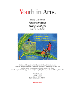 Photosynthesis Living Sunlight