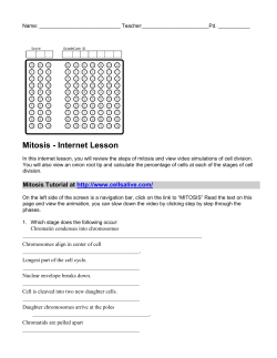 Mitosis - Internet Lesson