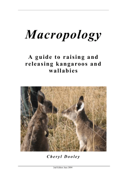 Macropology - Australian Wildlife Carer`s Network