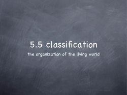 the organization of the living world