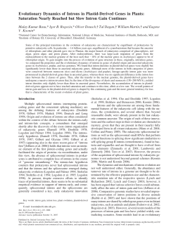 Evolutionary Dynamics of Introns in Plastid