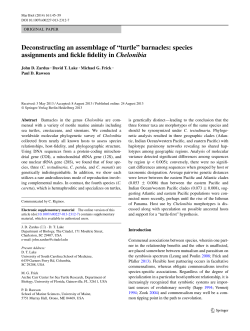 Deconstructing an assemblage of &ldquo;turtle&rdquo; barnacles: species