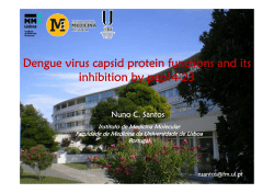 Dengue virus capsid protein functions and its i hibiti b 14 23