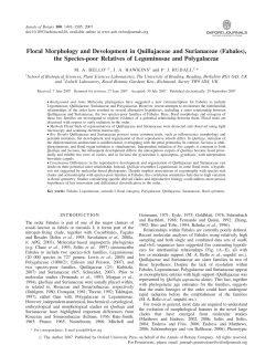 Floral Morphology and Development in