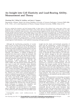 An Insight into Cell Elasticity and Load-Bearing