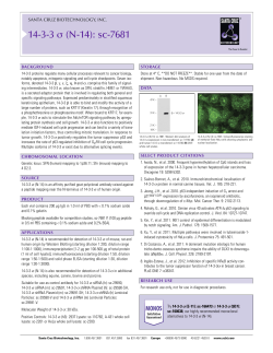 14-3-3 &sigma; (N-14): sc-7681 - Santa Cruz Biotechnology