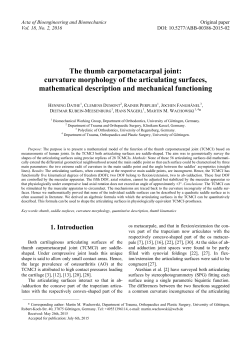 The thumb carpometacarpal joint: curvature morphology of the