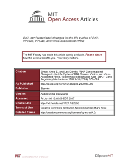 RNA conformational changes in the life cycles of RNA viruses