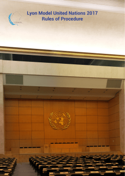 Lyon Model United Nations 2017 Rules of Procedure