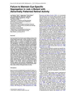 42. Demas, J., Sagdullaev, B.T., Green, E., Jaubert