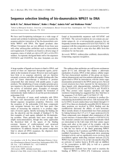 Sequence selective binding of bisdaunorubicin WP631 to DNA
