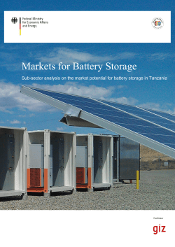 Sub-sector analysis on the market potential for battery storage in