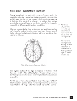 Cross-Crawl - Eyesight is in your brain