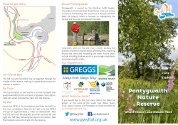 Pontygwaith Nature Reserve - The South East Wales Rivers Trust