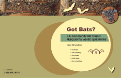 Got Bats? - BC Community Bat Program