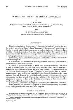 9 &deg; BIOCHIMICA ET BIOPHYSICA ACTA VOL. 8 (1952)