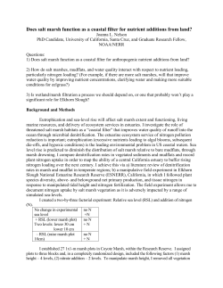 Does salt marsh function as a coastal filter for nutrient