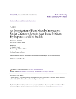An Investigation of Plant-Microbe Interactions Under Cadmium