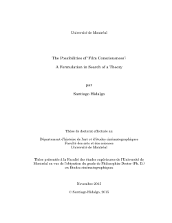 Film Consciousness - Papyrus