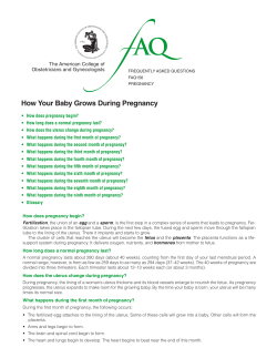 FAQ156 -- How Your Baby Grows During Pregnancy