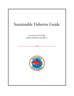 Sustainable Fisheries Guide