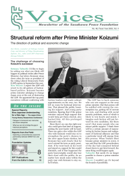 Structural reform after Prime Minister Koizumi
