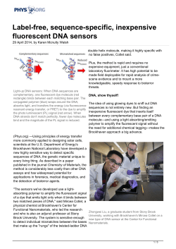 Label-free, sequence-specific, inexpensive fluorescent
