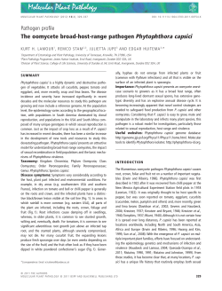 The oomycete broad-host-range pathogen Phytophthora capsici.