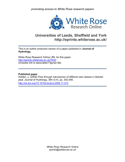 Pore structure and flux in surficial blanket peat