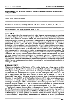 Ribosome loading, but not protein synthesis is required for estrogen