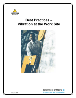 Best Practices - Vibration at the Work Site