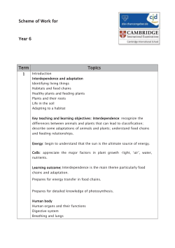 Introduction Identifying living things Habitats and food chains