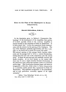 Note on the Pate of the Blastopore in R ana temporaria.