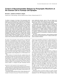 Control of Neurotransmitter Release by