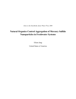 Natural Organics Control Aggregation of Mercury Sulfide