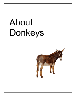 About Donkeys - Donkey Sanctuary of Canada