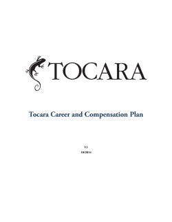 Tocara Career and Compensation Plan