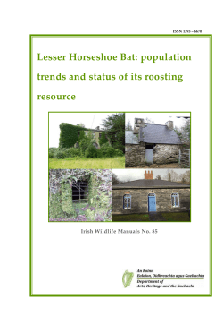 Lesser Horseshoe Bat Monitoring