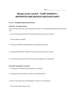 Morgan-Carter Lab #14 &ndash; PLANT DIVERSITY I: BRYOPHYTES AND