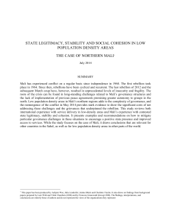 State Legitimacy, Stability and Social Cohesion in Low Population