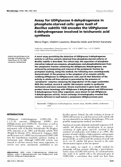 Assay for UDPglucose 6-dehydrogenase in