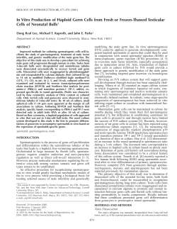 In Vitro Production of Haploid Germ Cells from Fresh or Frozen