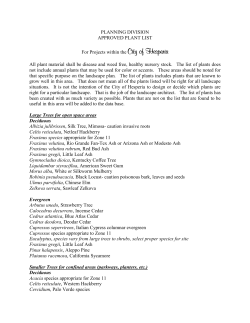Approved Plant List