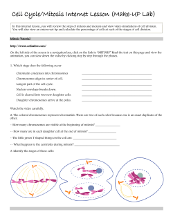 Cell Cycle/Mitosis Internet Lesson (Make-UP Lab)
